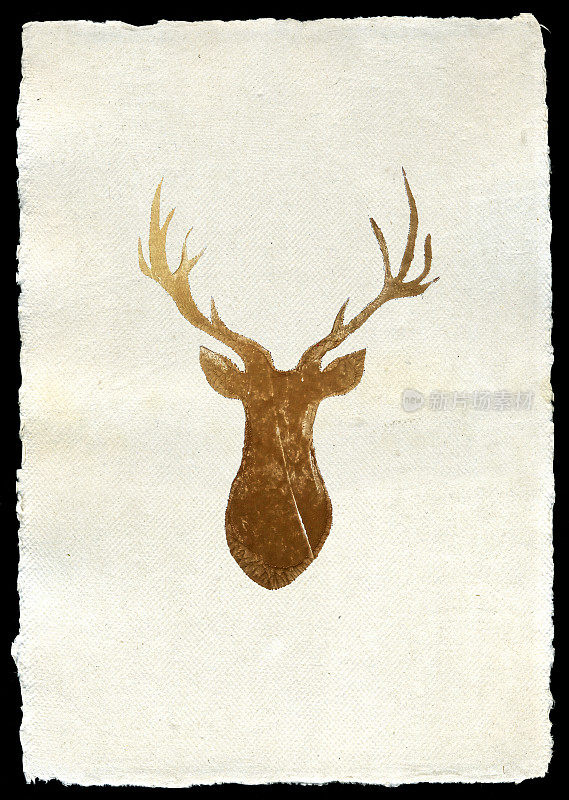 鹿的手印在纸上