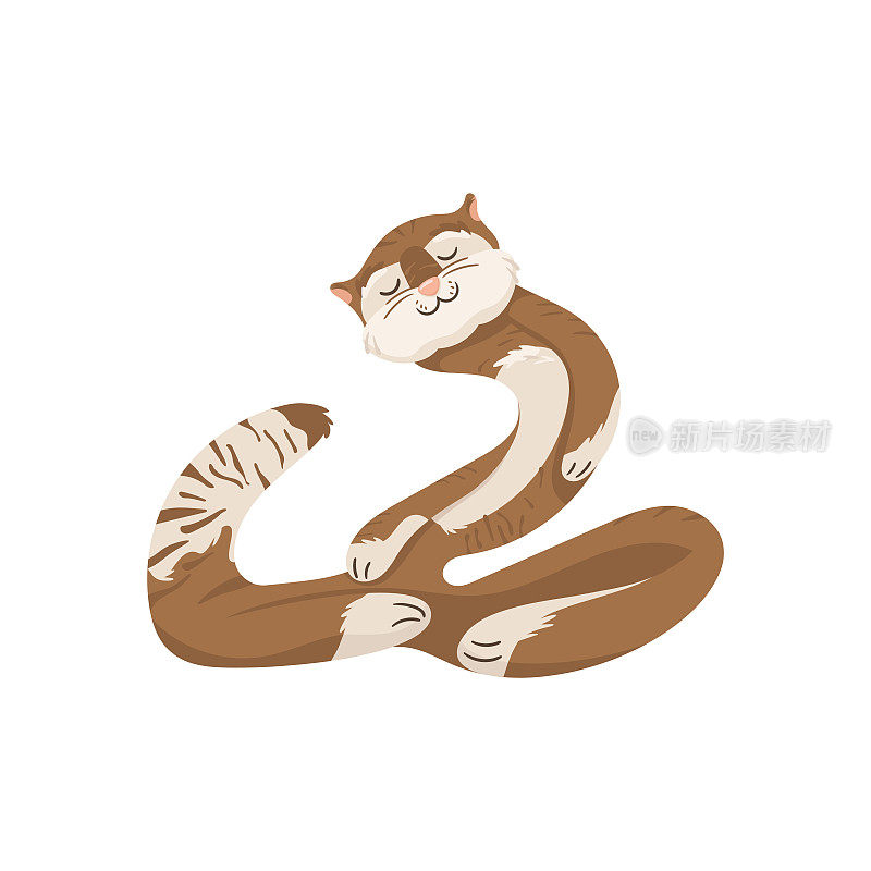 抽象柔韧的瑜伽猫。