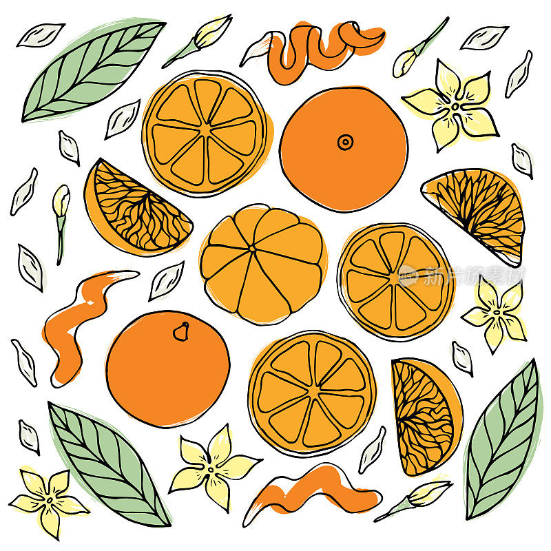 橙色，橘子或橘子。手绘涂鸦简单水果