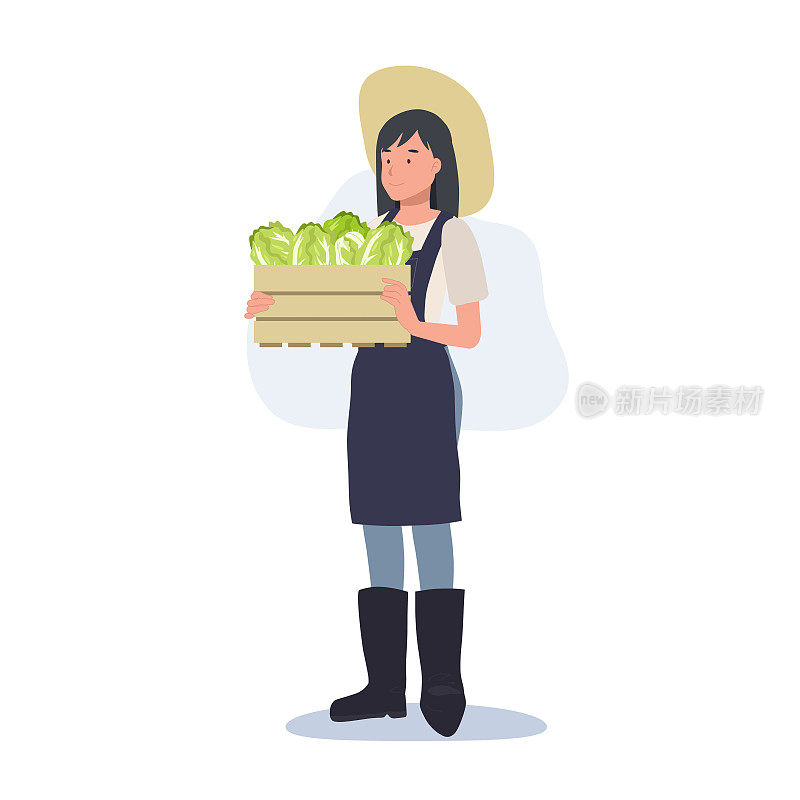 农业的概念。女农民拿着一盒蔬菜大白菜。农民拿着新鲜的产品。平面矢量卡通人物插画。