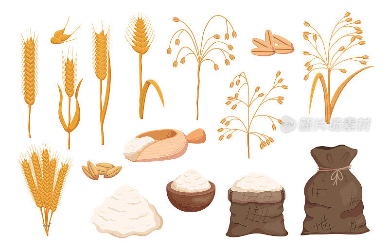 采购产品谷物，燕麦和小麦种子和穗子，面粉在袋，碗和堆，面筋产品，生的农民谷物