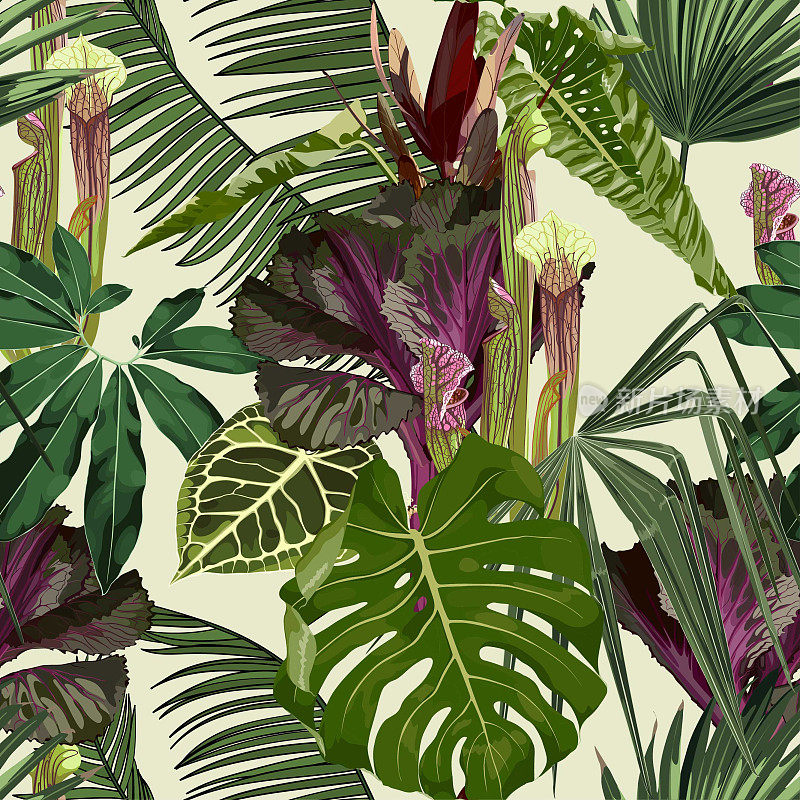 无缝图案与手绘彩色装饰卷心菜和热带树叶。日本新年花。新鲜紫甘蓝，花椰菜，大白菜。