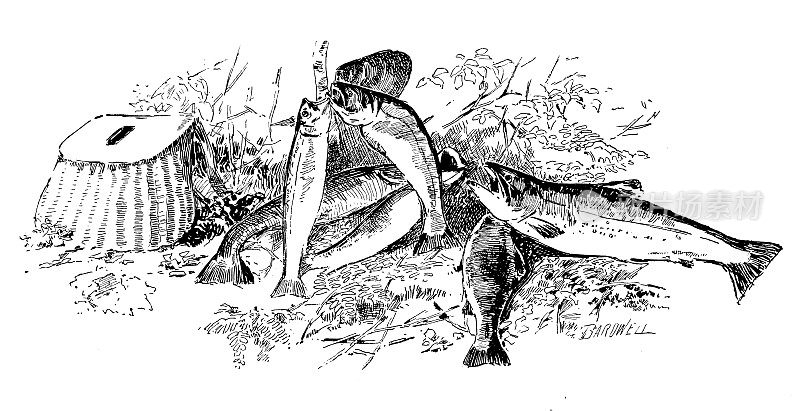 1897年的运动和消遣:鱼