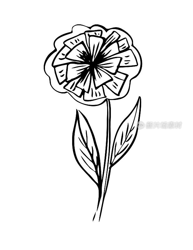 透明背景上的一朵花的手绘墨水涂鸦
