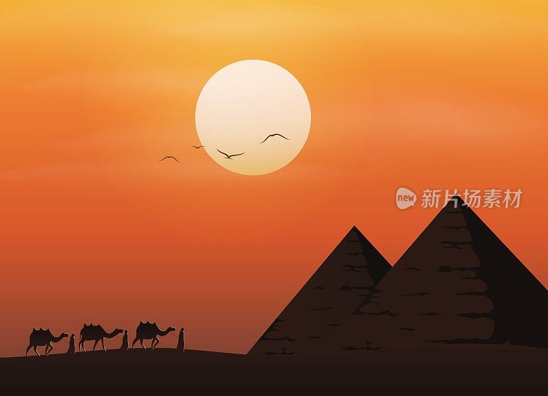 沙漠中的骆驼商队和金字塔在美丽的日落背景