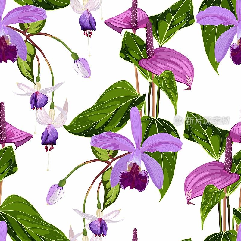 兰花,花烛属植物的花。无缝的花图案与紫罗兰粉红色光泽的花和棕榈叶。白色背景上的热带图案。