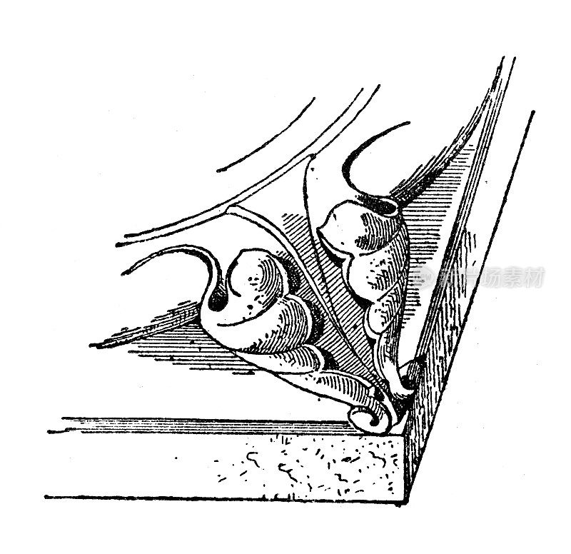 古董插画:马刺、爪(建筑)