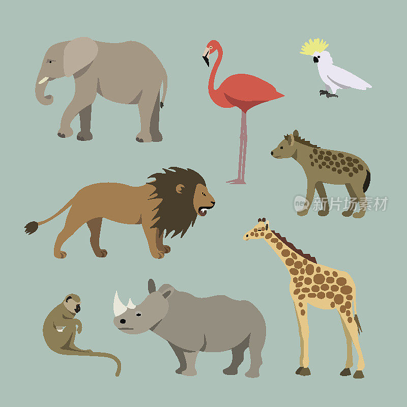 动物有非洲母狮、大象、犀牛、长颈鹿、火烈鸟、猴子
