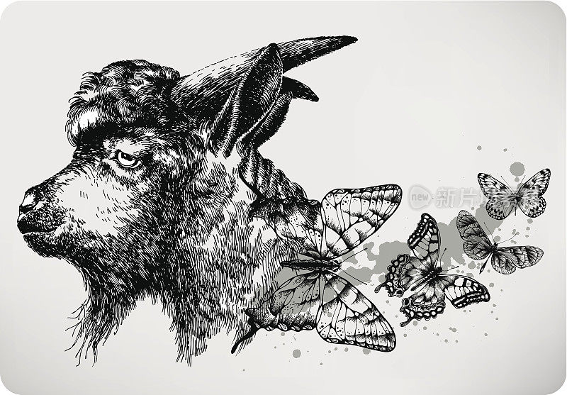 黑色山羊和蝴蝶。矢量插图。