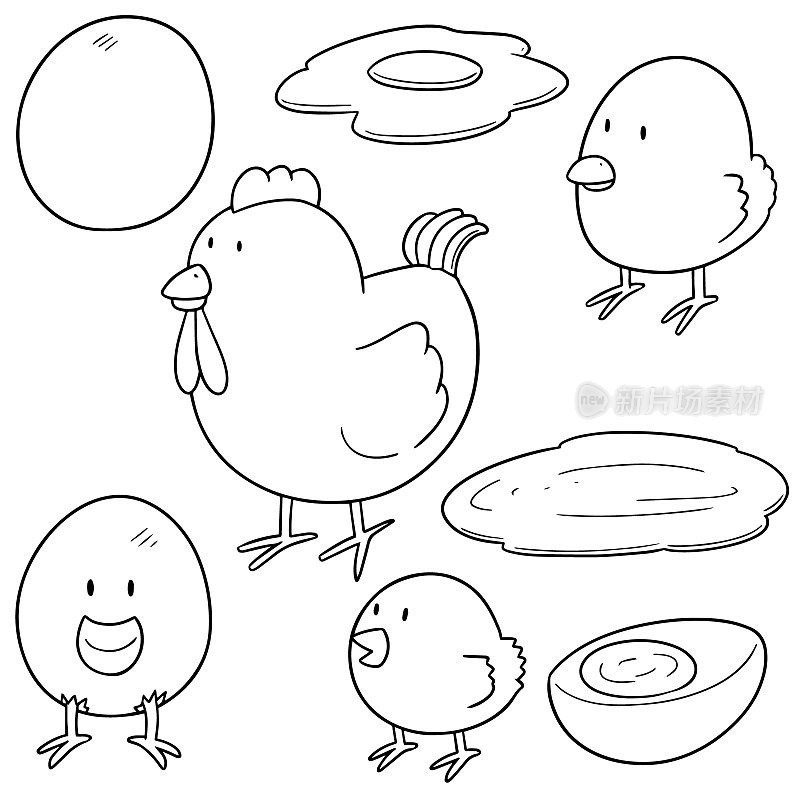 鸡和蛋
