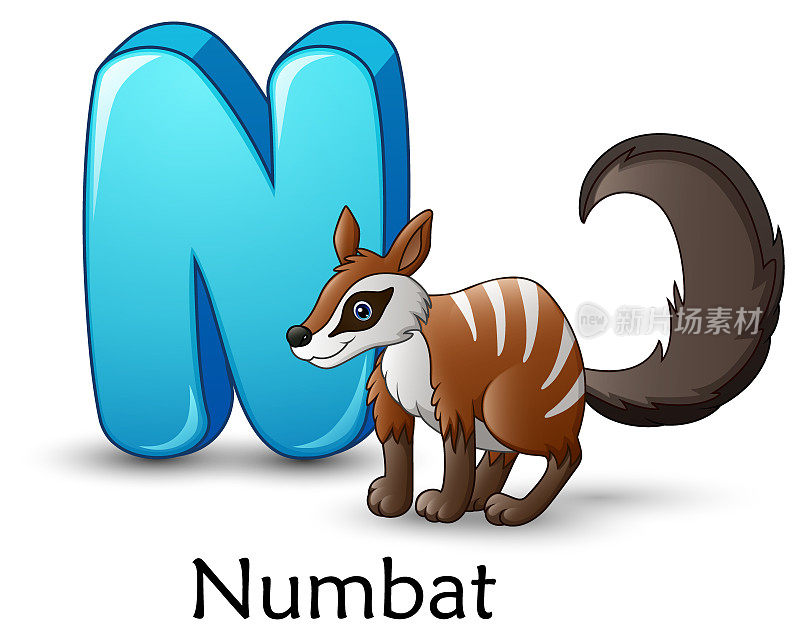 字母N是Numbat卡通字母表