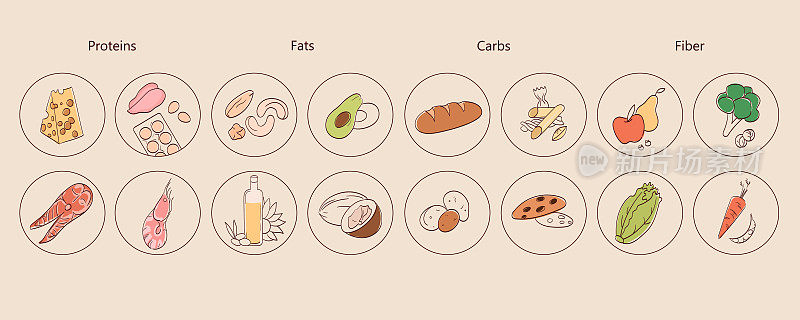 微量营养素的矢量插图。图标是脂肪，蛋白质，纤维，碳水化合物。节食，健康饮食观念。