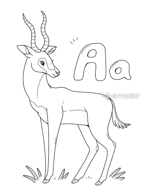 填色书与羚羊与英语大、小字母a儿童填色页字母表。用动物勾勒插图。
