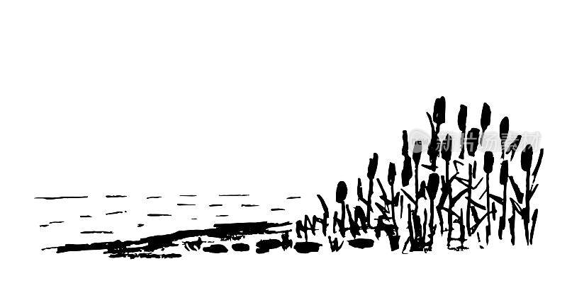 简单的矢量绘图用炭笔。河岸上，芦苇丛生。野湖，猎鸭。自然和风景。