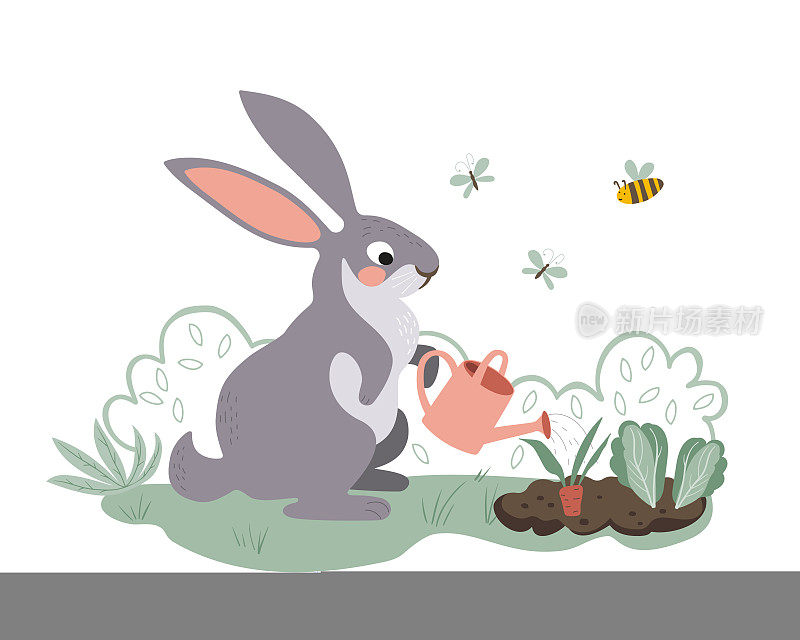 一只可爱的兔子正在用喷壶给花园浇水。兔子在种胡萝卜。矢量手绘插图