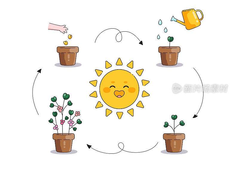 卡通可爱的演示说明植物如何生长。光合作用:植物和花卉的生长、光合作用和繁殖过程矢量简单的图片在白色的背景。