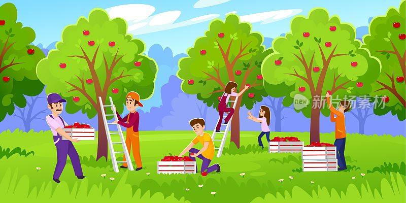 水果季节，快乐的人们在果园里摘苹果