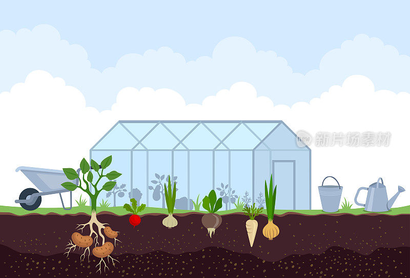 种植植物的温室。