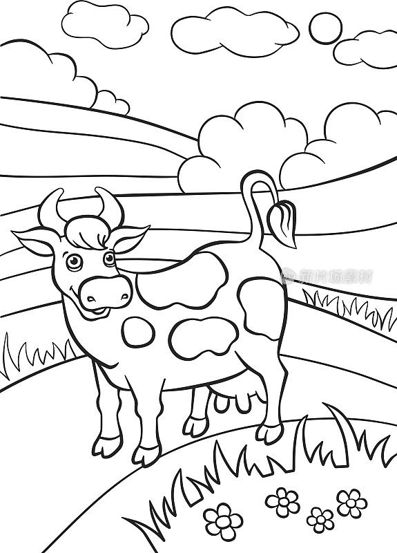 可爱的奶牛站在田野里微笑着。