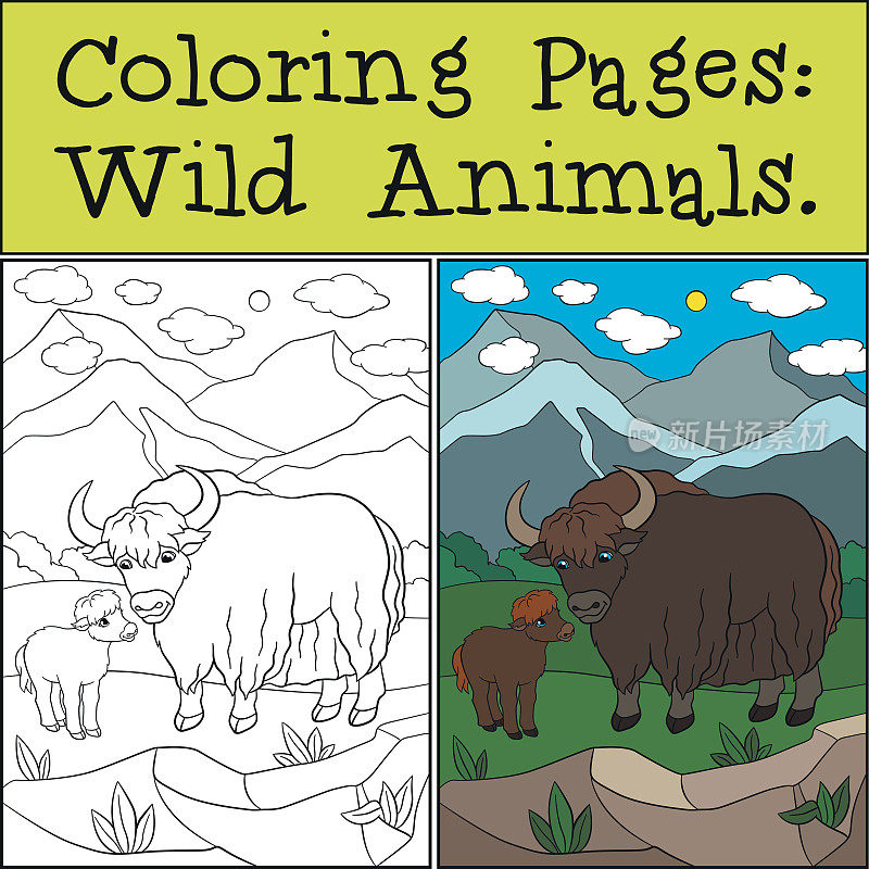 涂色页:野生动物。漂亮的牦牛和小婴儿。