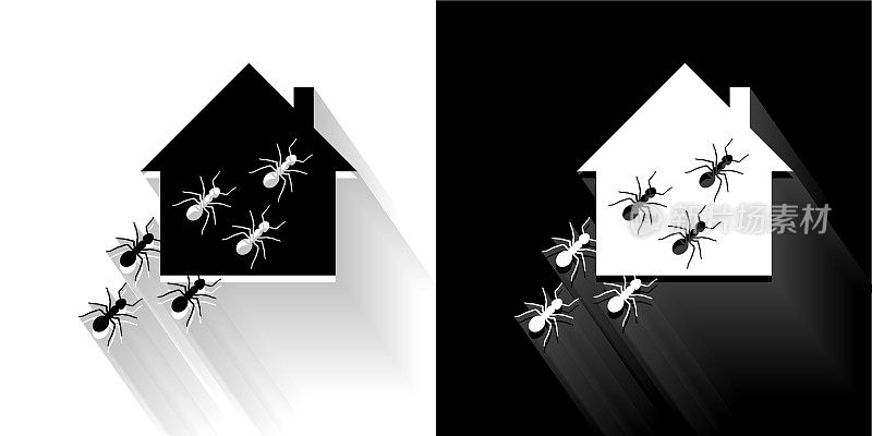 蚂蚁在家黑色和白色与长影子的图标