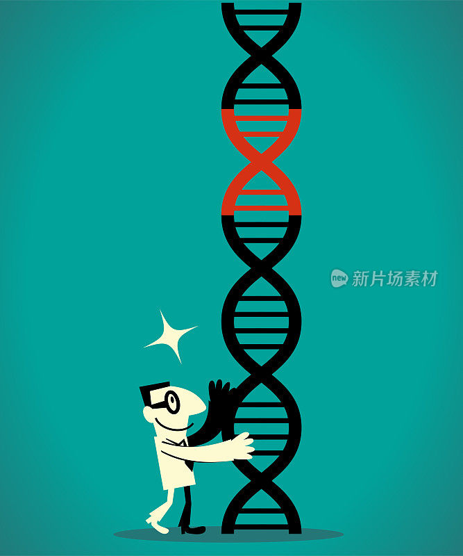 基因工程、转基因和基因操作概念的阶梯