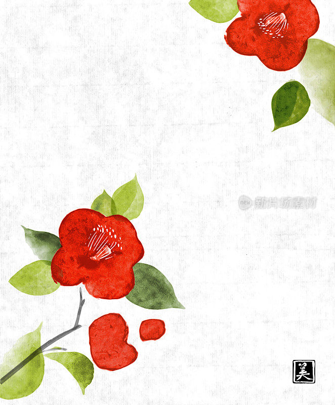红色山茶花在古老的宣纸背景。日本传统水墨画sumi-e。翻译象形文字-美。