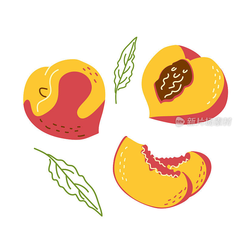 水蜜桃一套完整的和分成两半的水蜜桃
