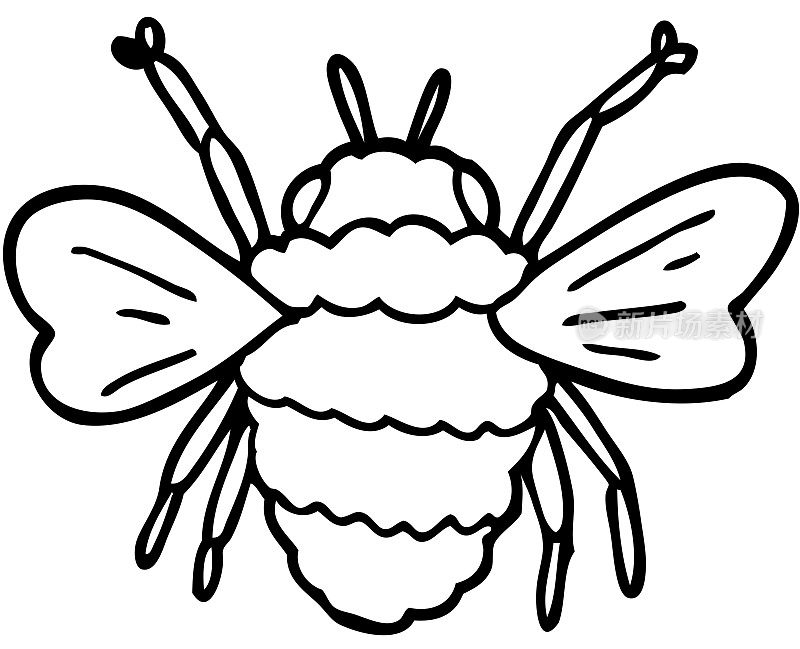 线条画卡通蜜蜂