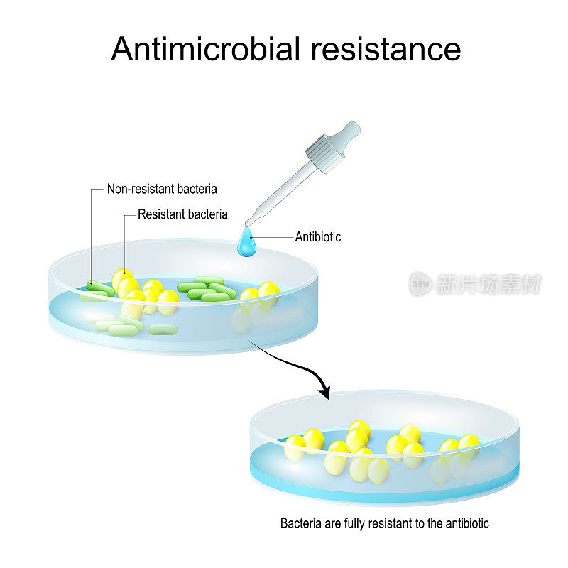 抗菌素耐药性。移液管中滴有抗生素，培养皿中有菌落。