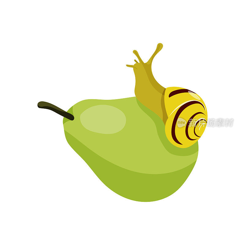 手绘蜗牛在绿色的梨上。