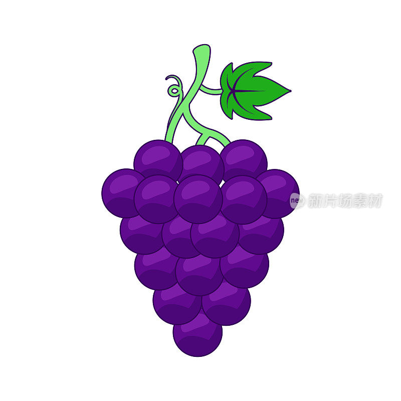 葡萄插图。
