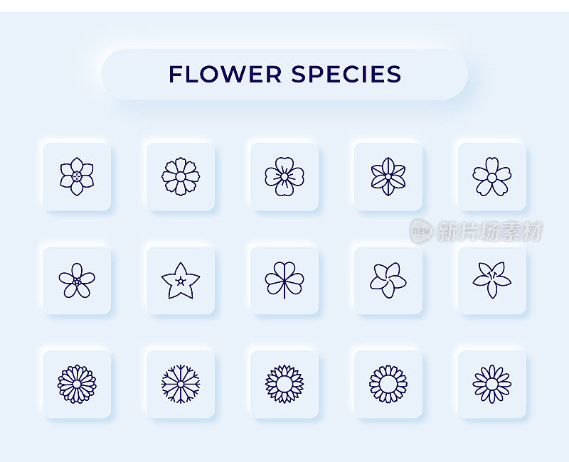 花卉种类线图标