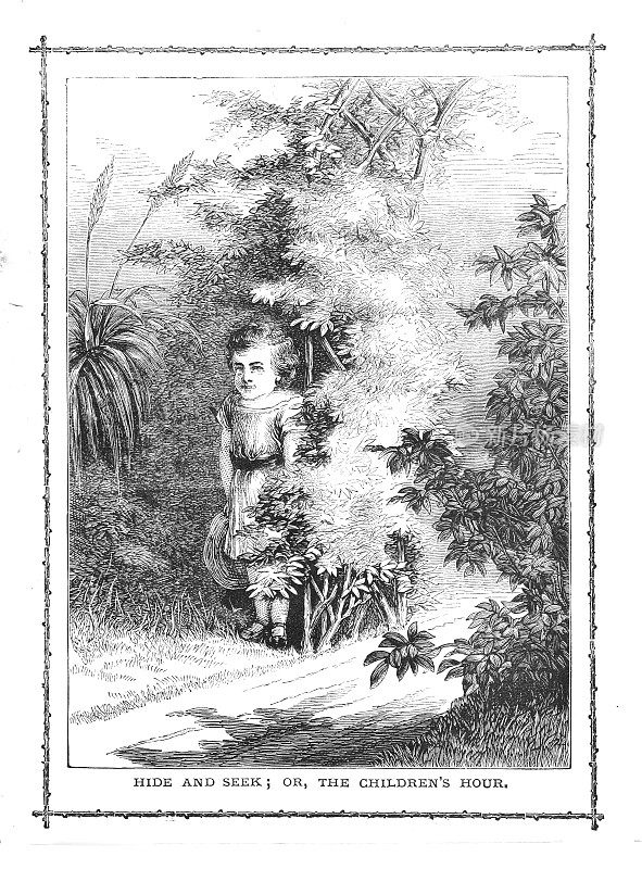 维多利亚插图小孩在树篱后捉迷藏
