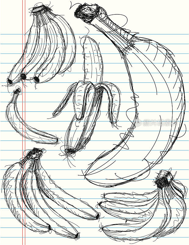 香蕉草图