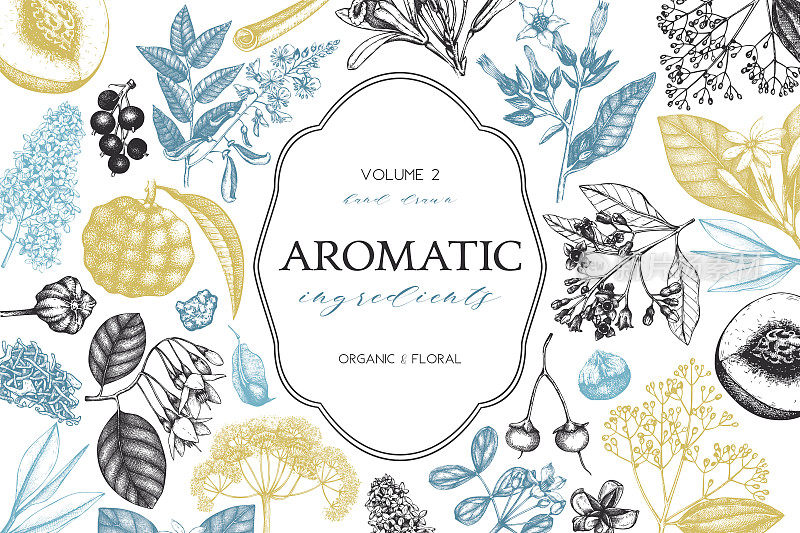 aromatic_vol.2_pr_1