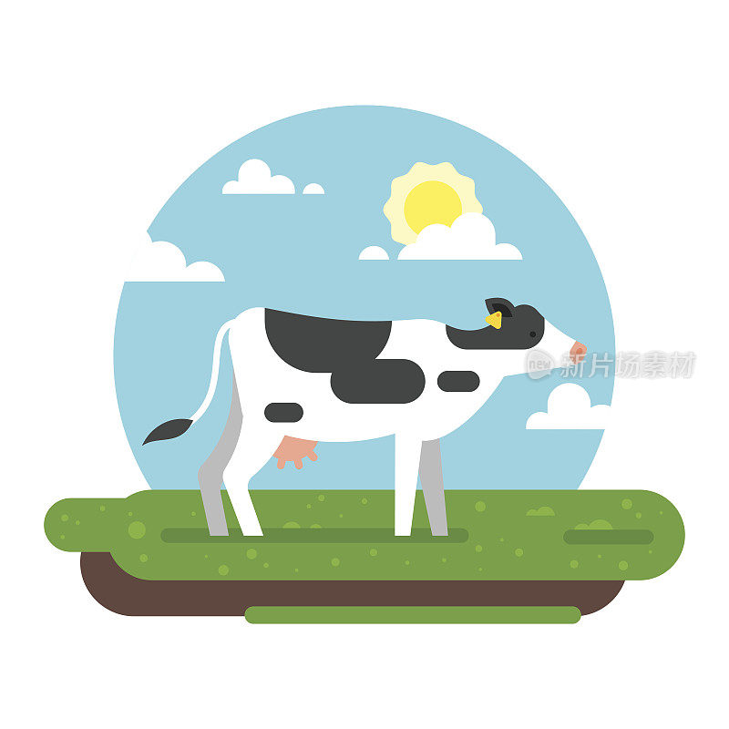 牛在田里吃草。