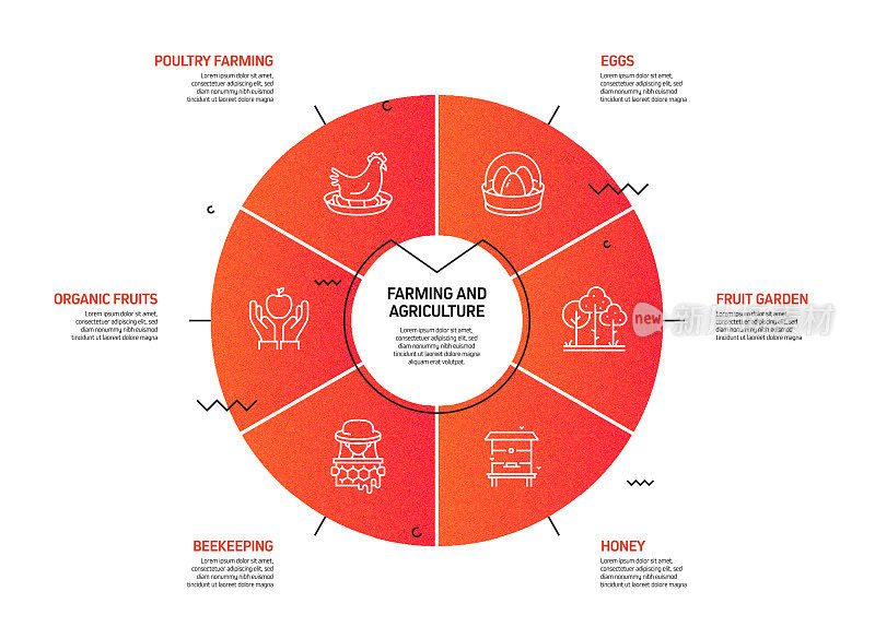 农业和农业相关过程信息图模板。过程时间图。带图标的工作流布局