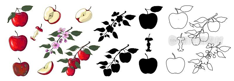 大套红苹果卡通风格，黑色剪影和轮廓风格。画出了一棵苹果树的开花枝、一根苹果枝、苹果片、一个烂苹果和一个苹果核。