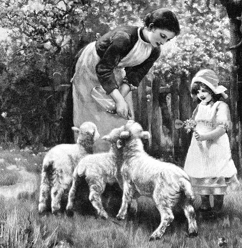 1897年，母亲和女儿在农场喂小羊羔
