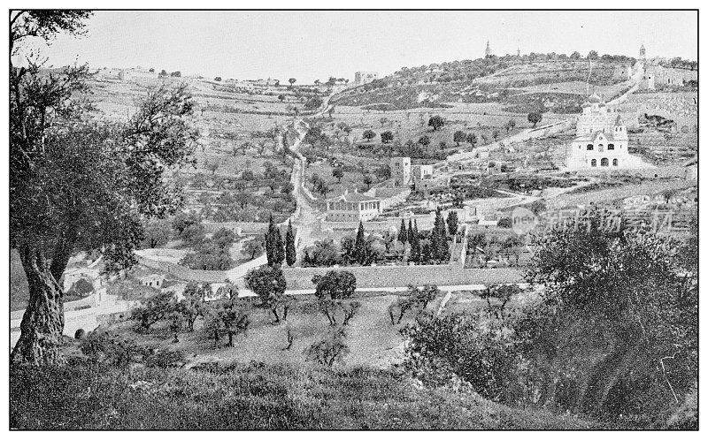 耶路撒冷和周围环境的古色古香的旅行照片:橄榄山