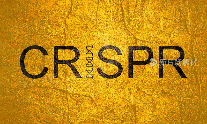 CRISPR系统用于编辑、调节和靶向基因组词