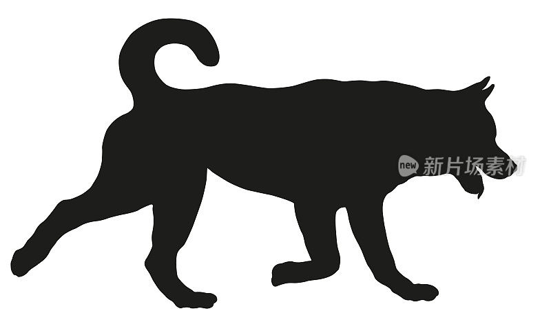 奔跑的美国秋田犬。黑狗轮廓。宠物的动物。孤立在白色背景上。