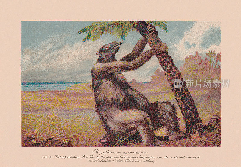 美洲大地懒，已灭绝的巨型地懒，彩色石刻，出版于1900年