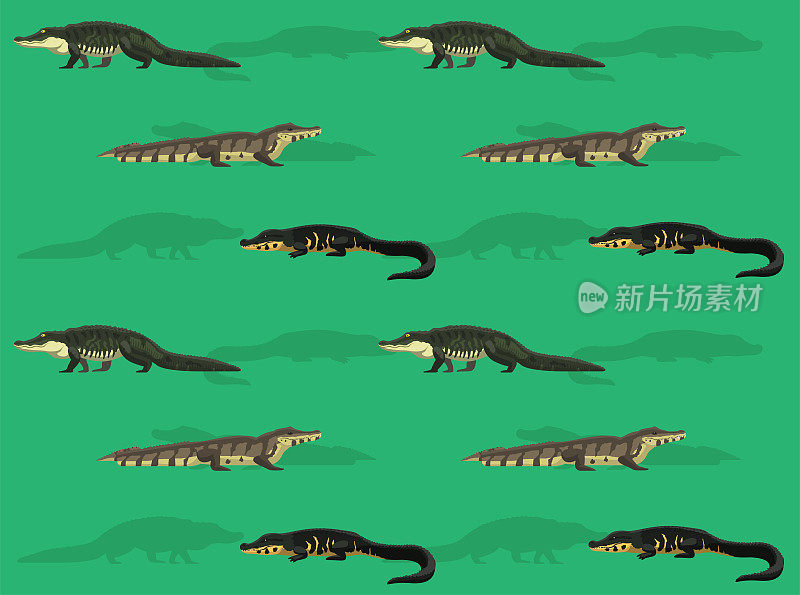 各种鳄鱼品种卡通无缝墙纸背景