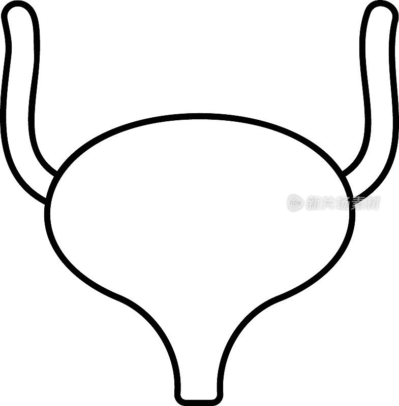 前列腺概念，膀胱矢量轮廓图标设计，器官系统符号，人体解剖标志，人体部分库存插图，