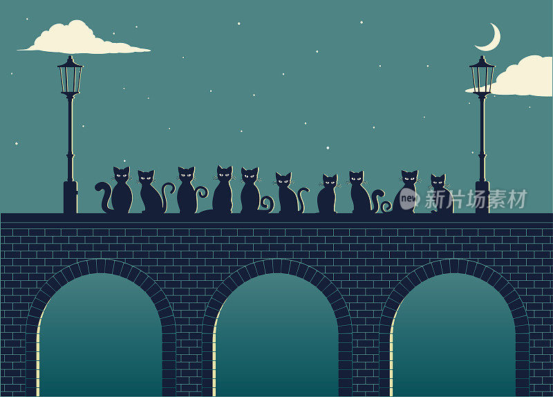 10只猫晚上在石桥上