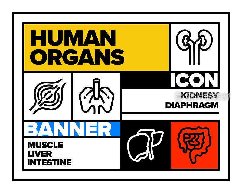 人体器官线图标集和横幅设计