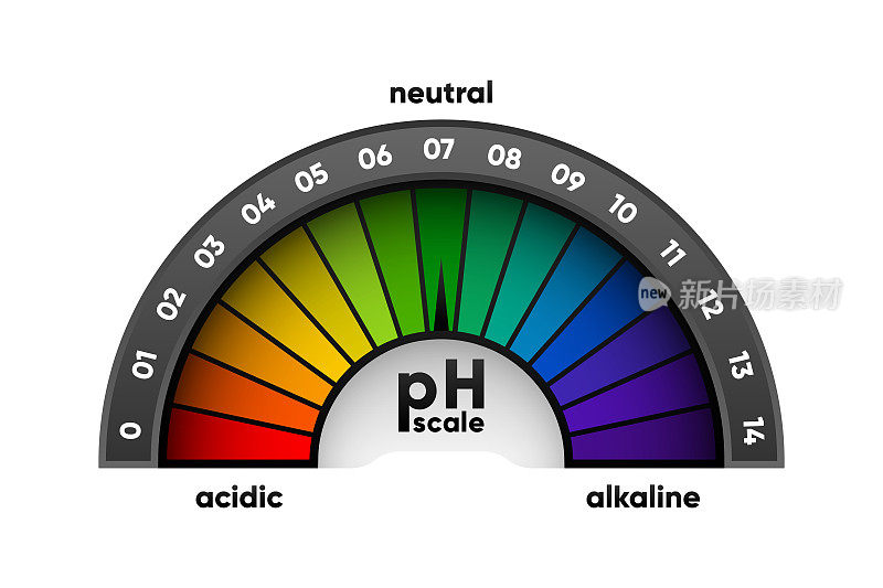 酸性和碱性溶液的PH刻度计。酸碱平衡量表。化学测试。矢量插图。