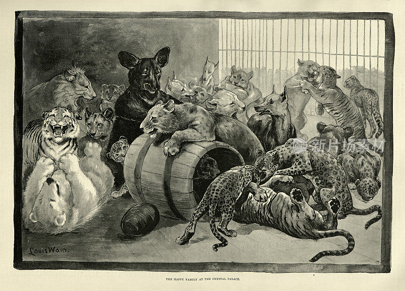 动物园里的动物，水晶宫，老虎，熊，猎豹，维多利亚19世纪，19世纪90年代
